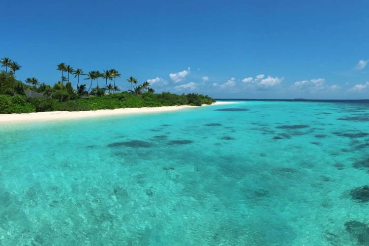 Beach and ocean