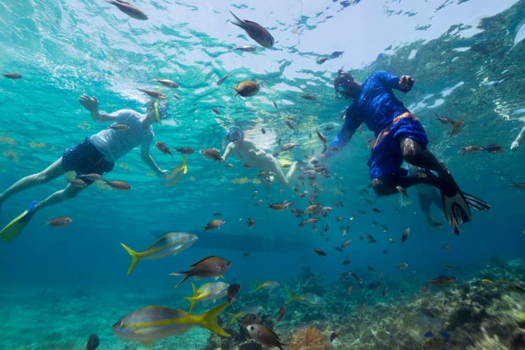 Snorkelling
