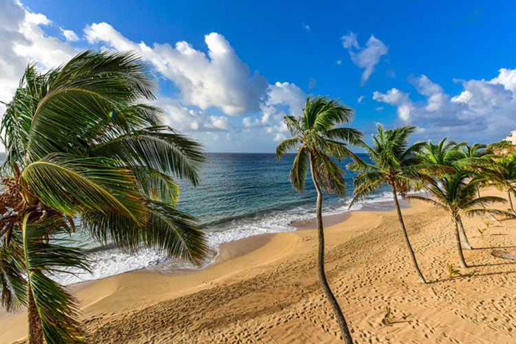 Beach