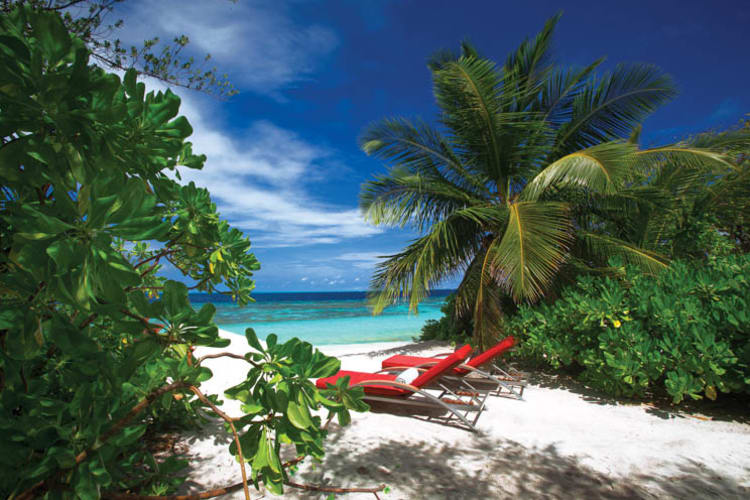 Secluded loungers
