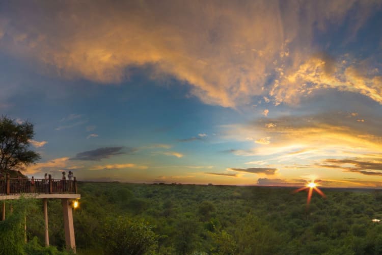 Panorama