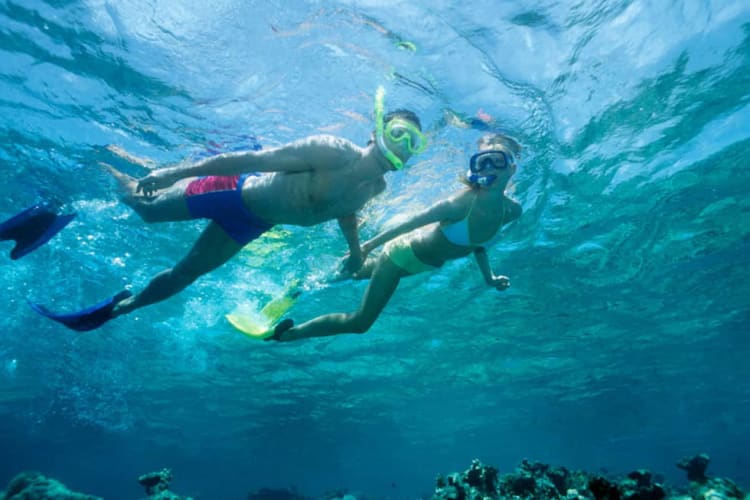 Snorkelling
