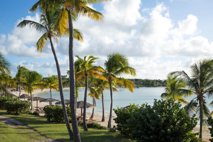 Beach View