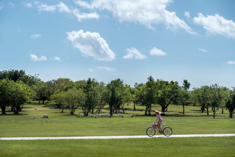 Cycling