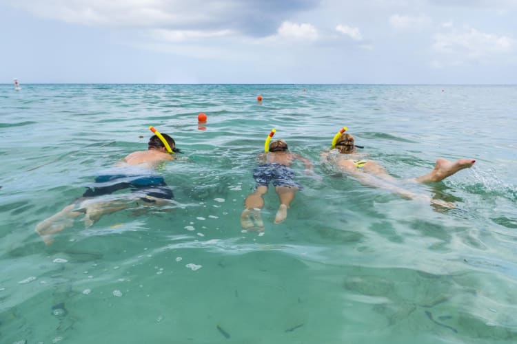Snorkelling