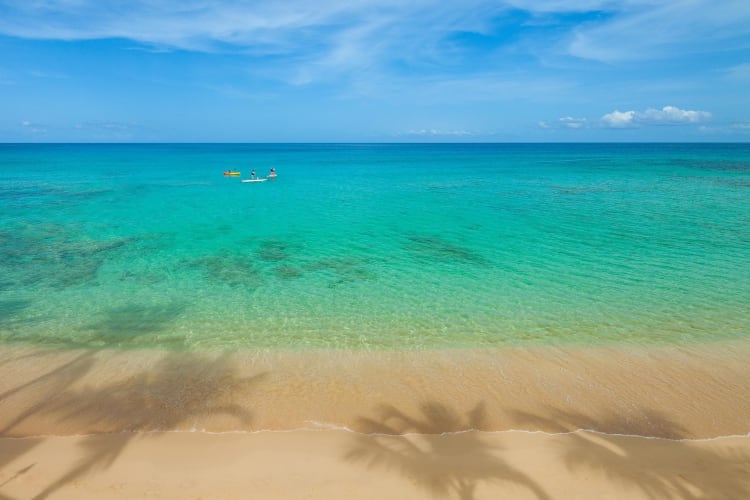 Tropical oceans