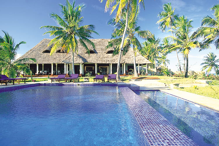 Palms pool
