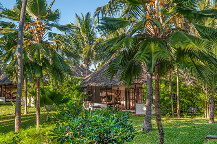 The Palms Villa