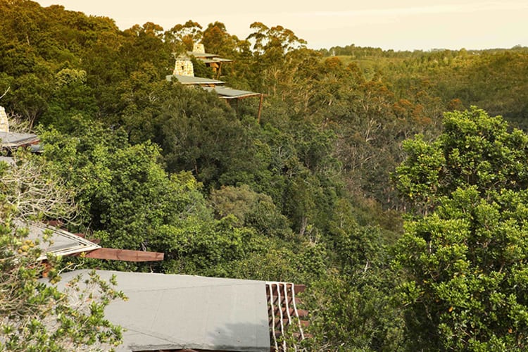 Tsala Treetops Lodge Forest View