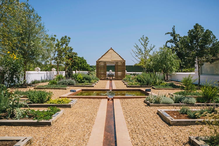 Babylonstoren Tea Ceremony & Gardens