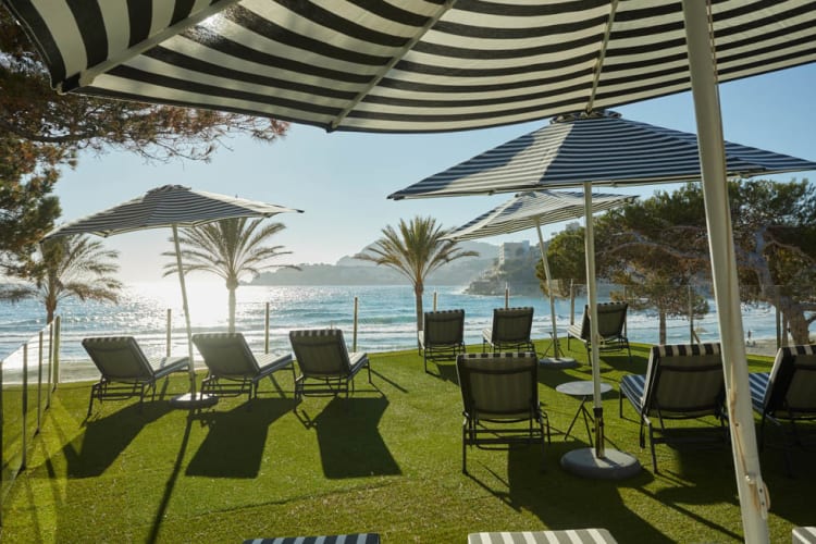 Gardens and sunbeds
