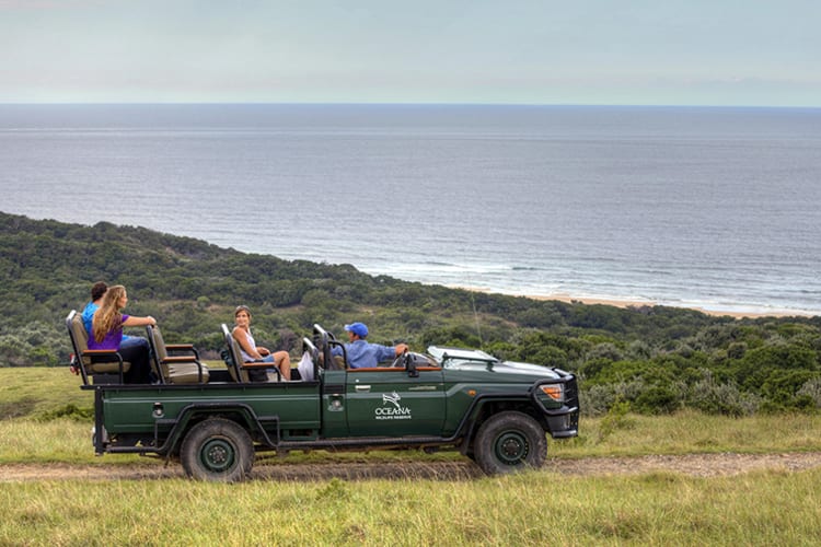 Oceana Beach & Wildlife Game Drive