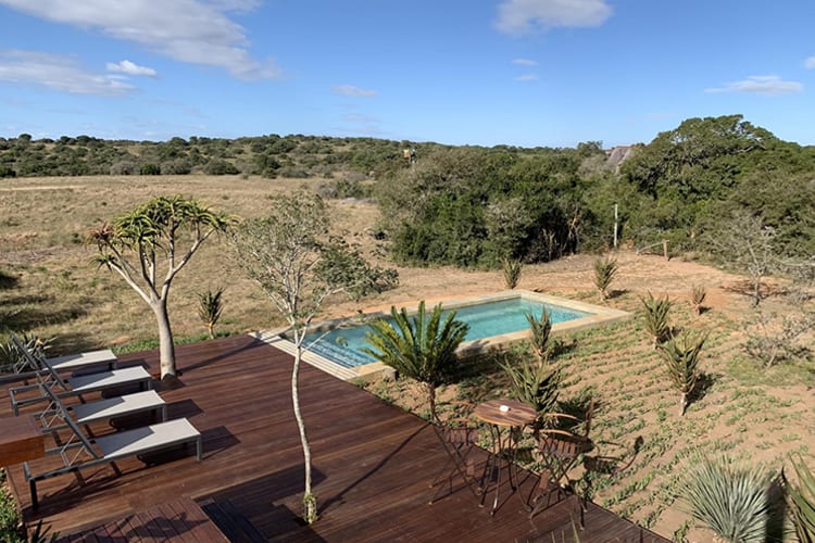 Amakhala Bush Lodge Pool