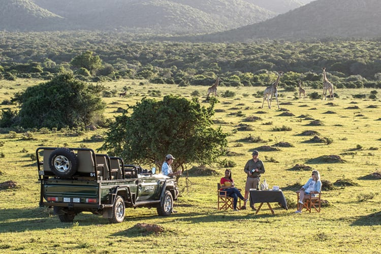 Kariega The Homestead Safari