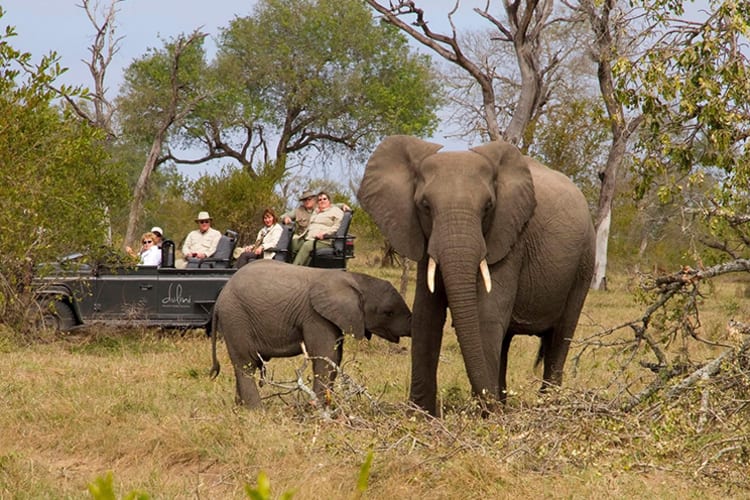Dulini Lodge Game Drive