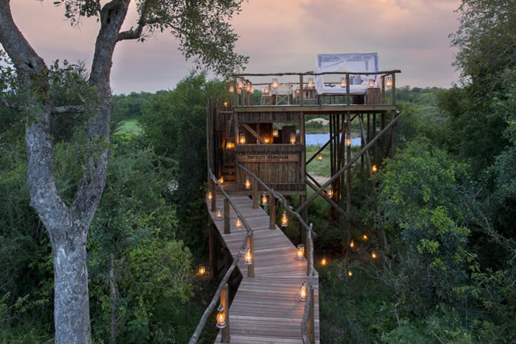 Lion Sands Tinga Lodge Treehouse