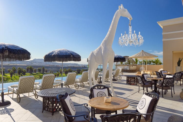The Top terrace