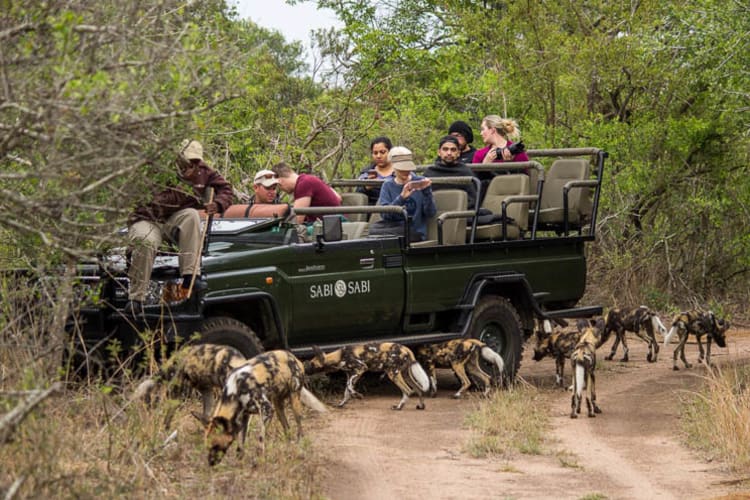 Sabi Sabi Selati Camp Safari