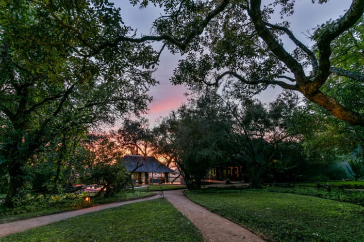 Sabi Sabi Selati Camp Gardens