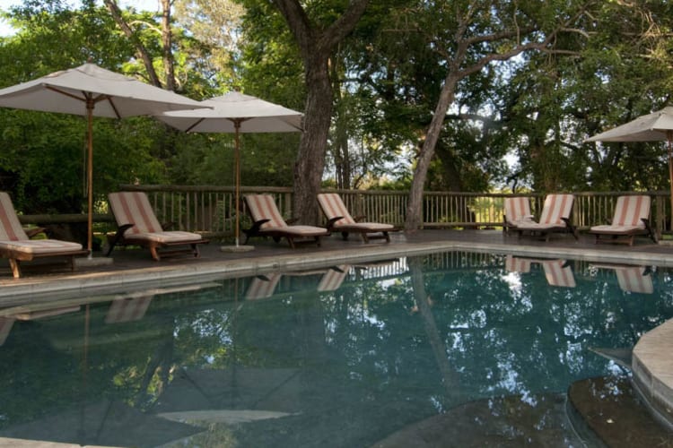 Sabi Sabi Selati Camp Swimming Pool