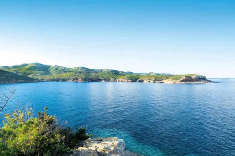 View of Cala Xarraca Bay