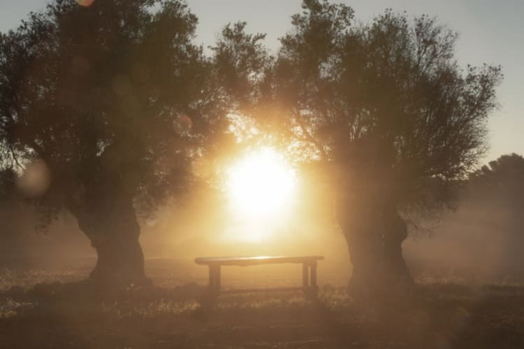 The Farm 2