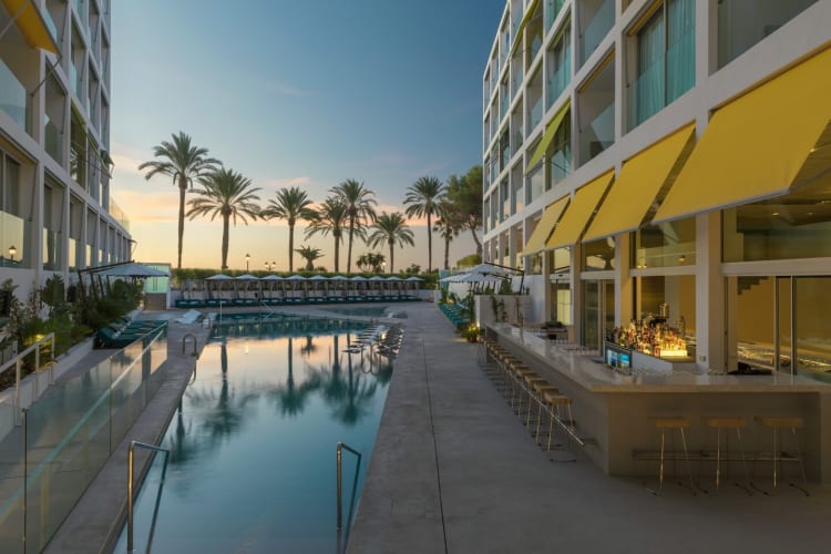 Pool and palms
