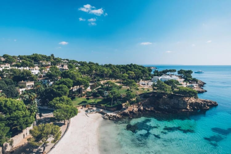 Beach from above