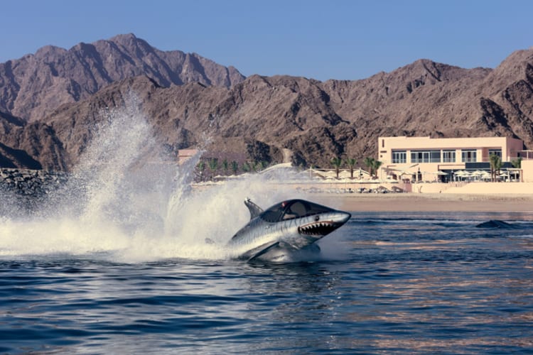 Lava Beach Club Seabreacher Watercraft