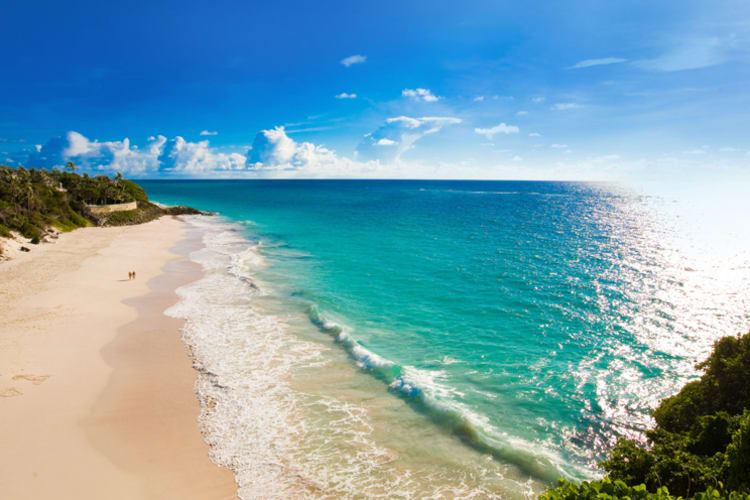 Crane Beach (8)