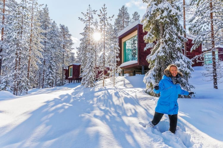 Arctic TreeHouse Suite
