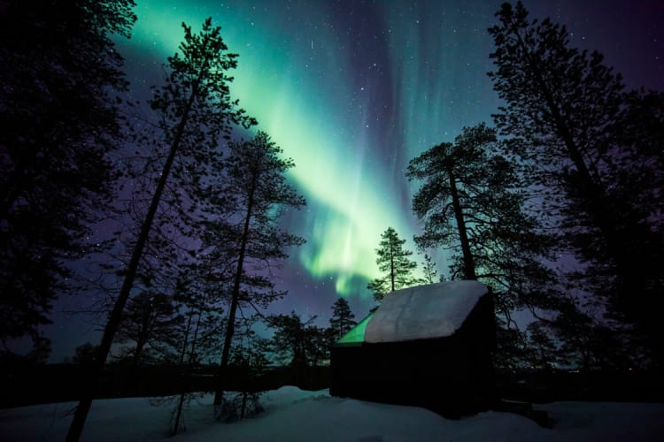 Exculsive Wilderness Glass Igloo