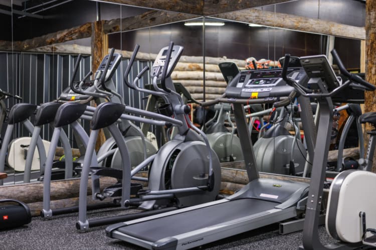 Octola Gym