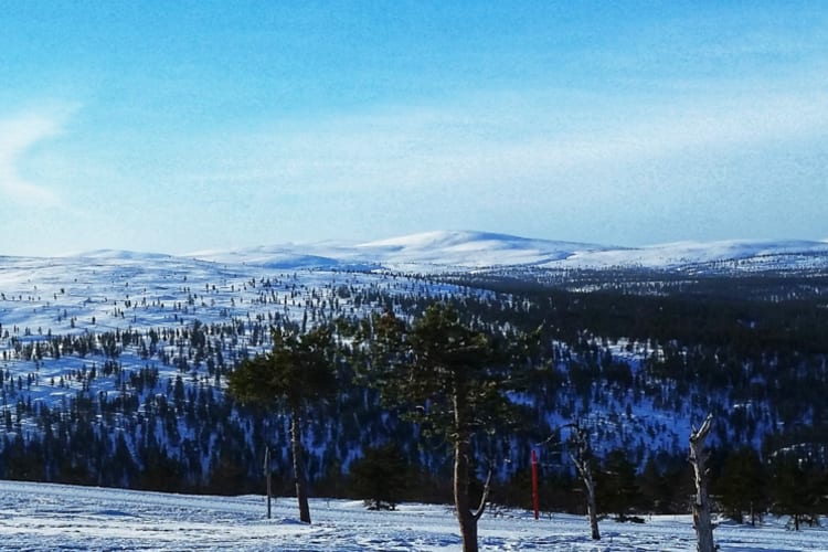 Muotka wildernesshotels nationalpark fellside