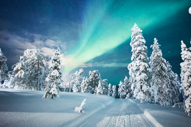 Northern lights
