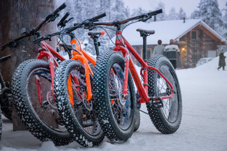 Fatbiking Through Arctic Forests