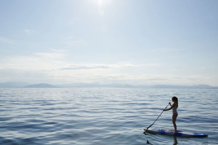 Paddle Board