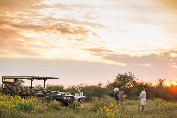 Sunset Drink Stop