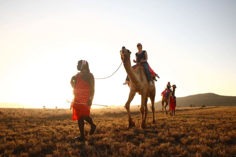 Camel trekking across Lewa