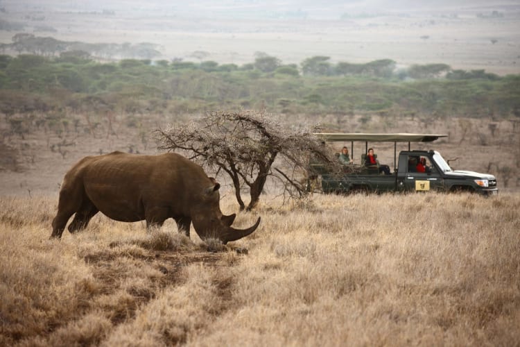 Game Drives