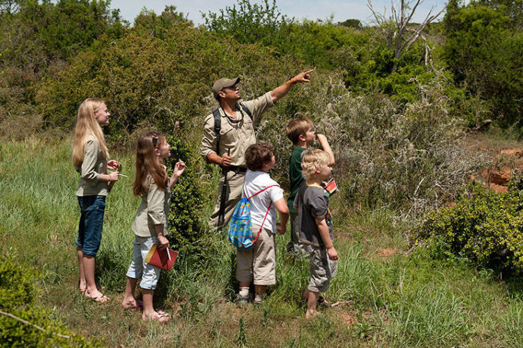 Childrens Guided Walks
