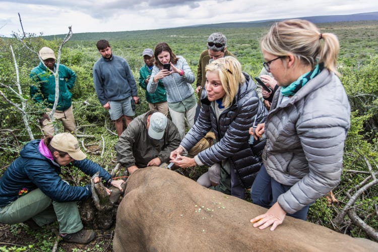 Rhino Conservation Safari