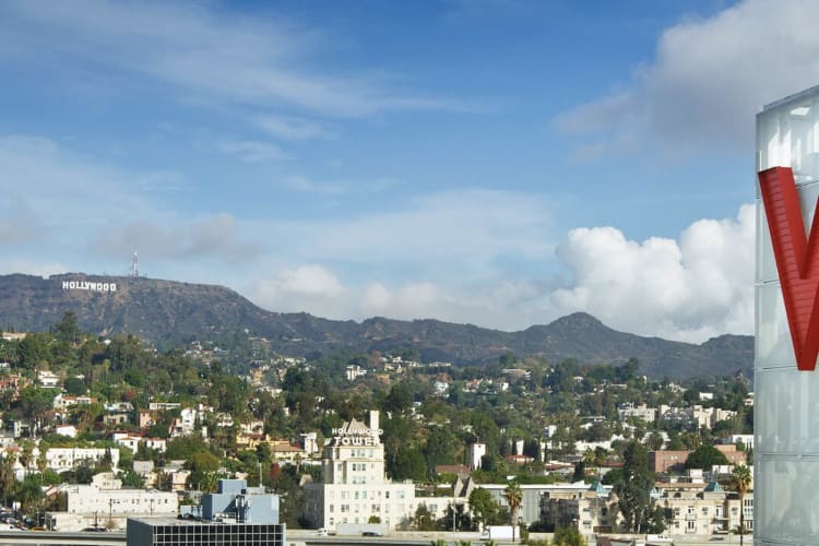 Hollywood View