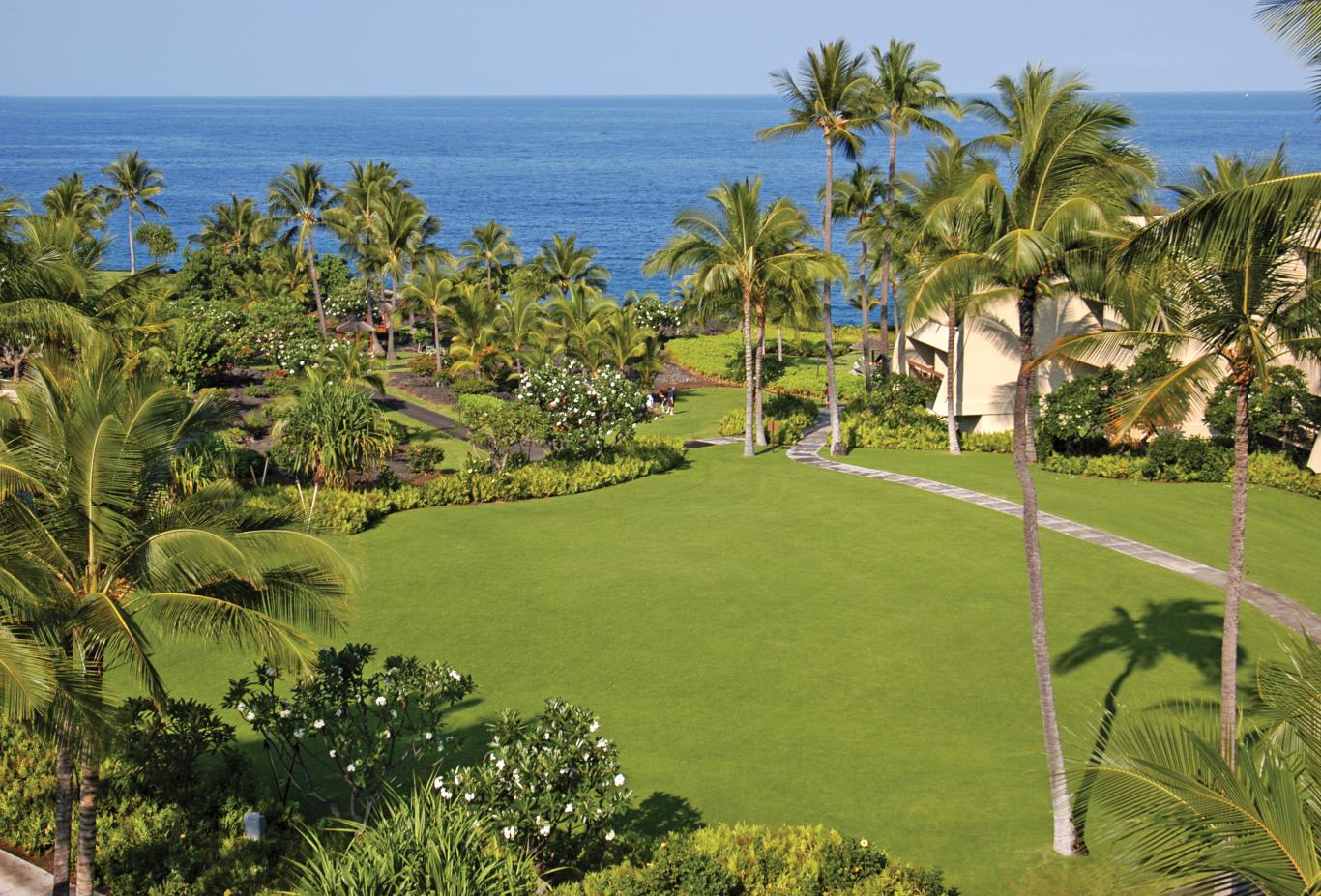 Lawn