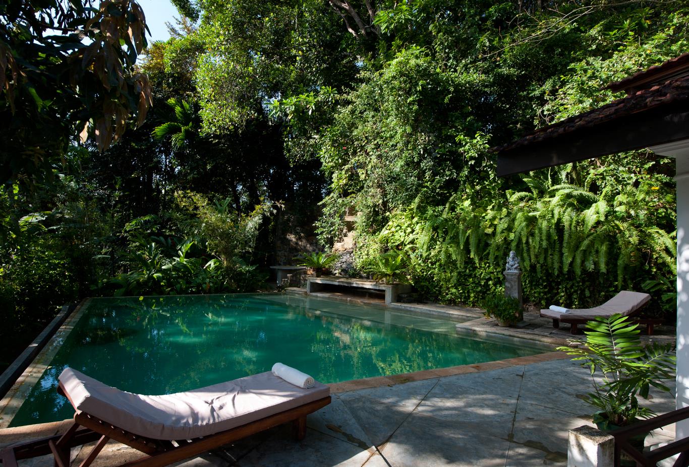Pool and garden