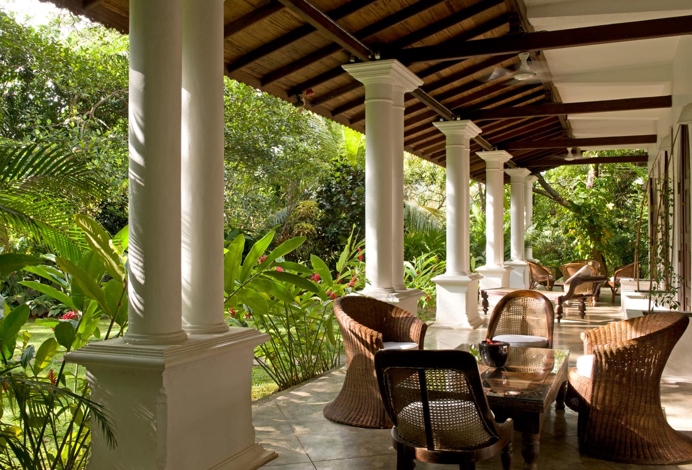 Veranda and garden