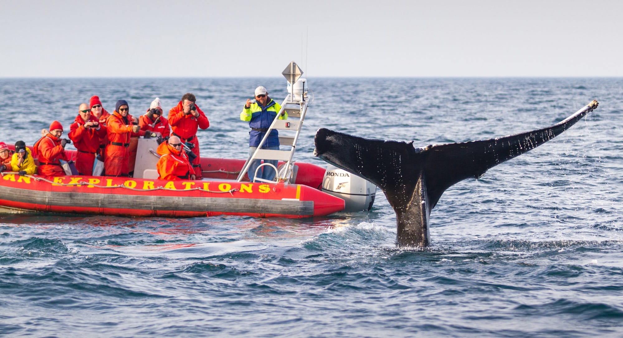 Why Holiday In Nova Scotia | Destinology