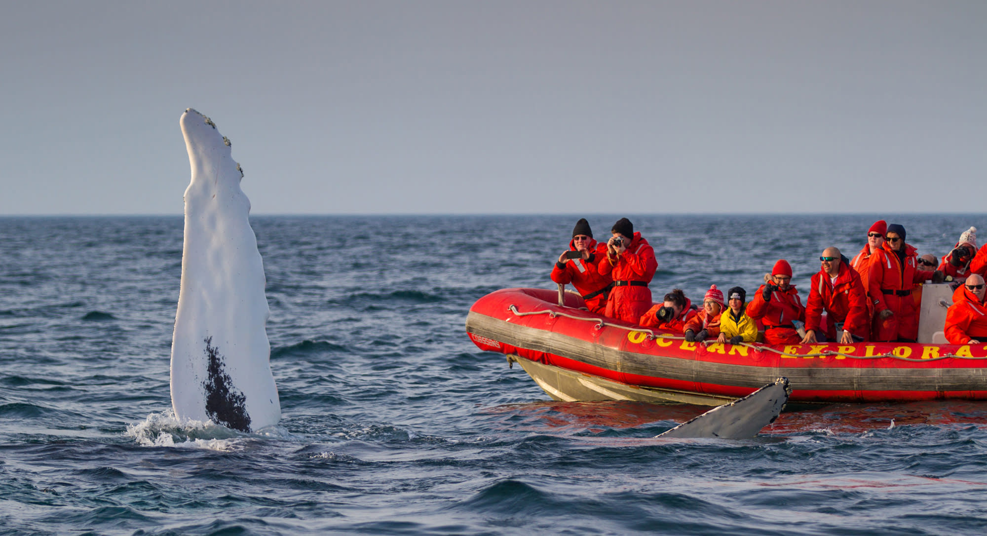 Why Holiday In Nova Scotia | Destinology