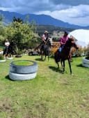Imagen 9 de Cabalgata