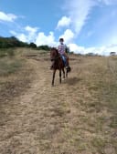 Imagen 11 de Cabalgata